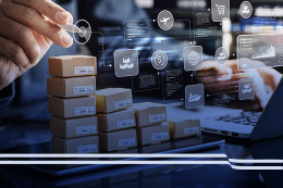 4824243-RP INFO-Artigo 05-Img_blog.png